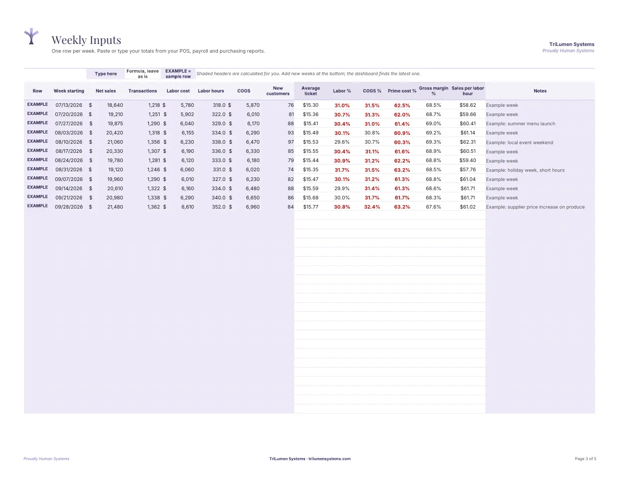 Weekly KPI Dashboard Starter preview: Weekly inputs sheet