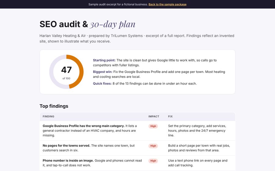 Sample SEO audit with score, findings and 30-day plan