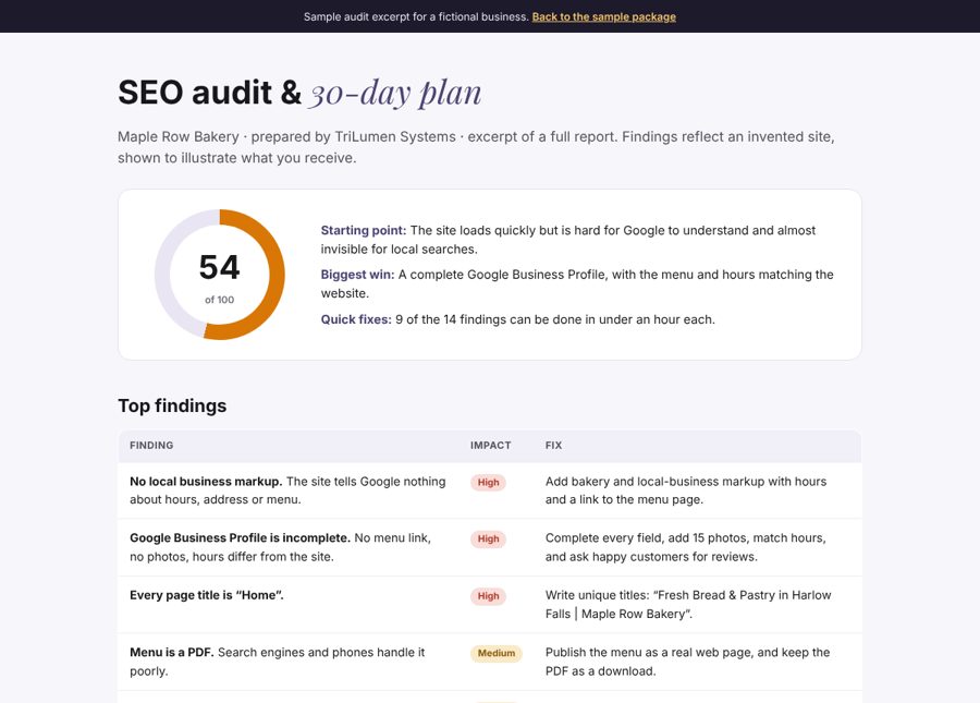 Sample SEO audit with score, findings and 30-day plan