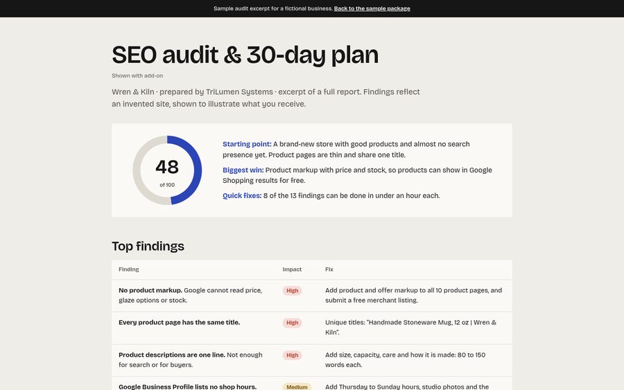 Sample SEO audit with score, findings and 30-day plan